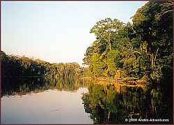 Lake Salvador in the Manu Basin