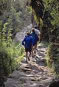 Inca Trail, © 2000 Carl Yarbrough